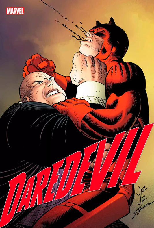 DAREDEVIL #13 2024 MARVEL COMICS